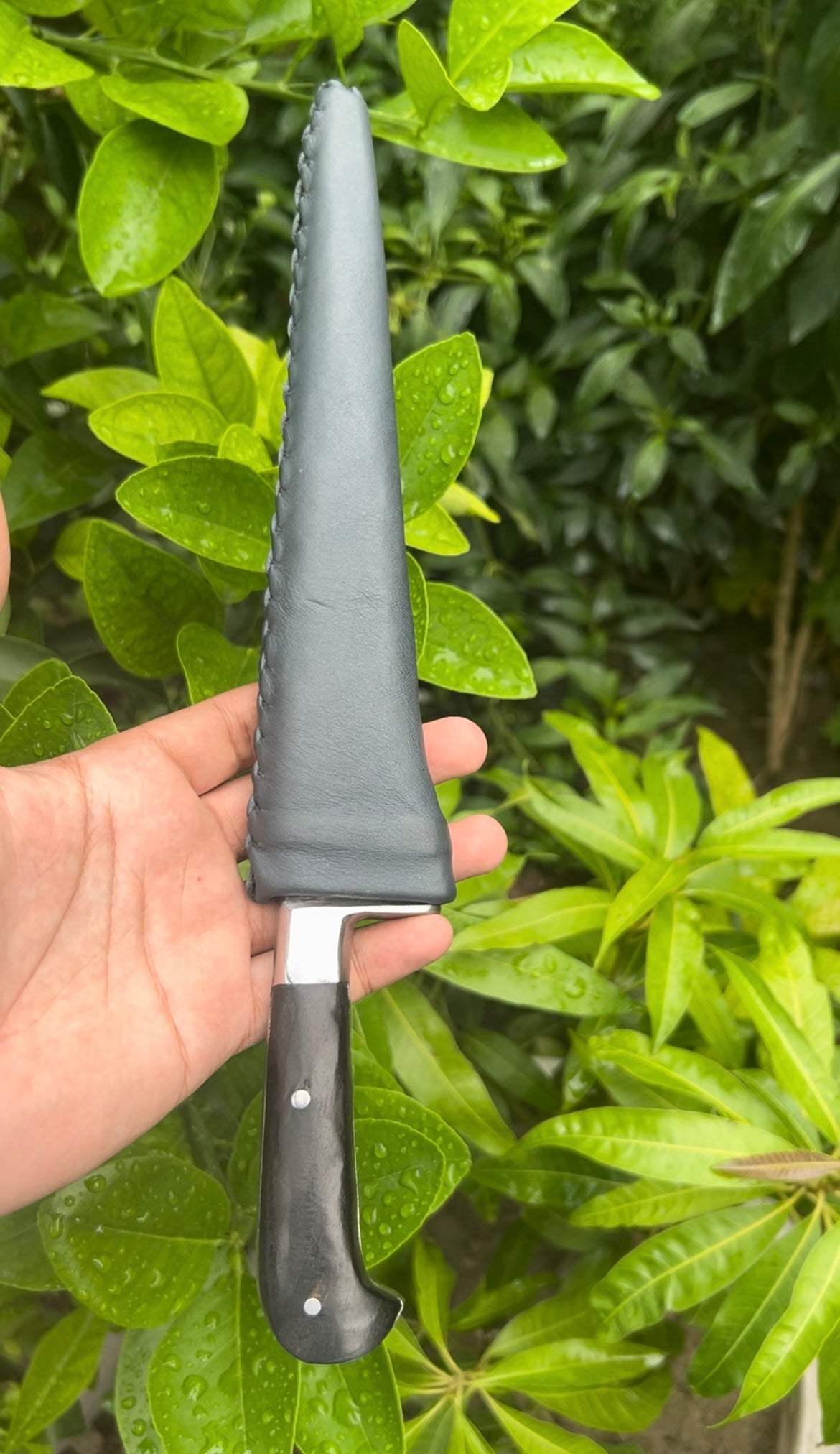 12" Peshkabz