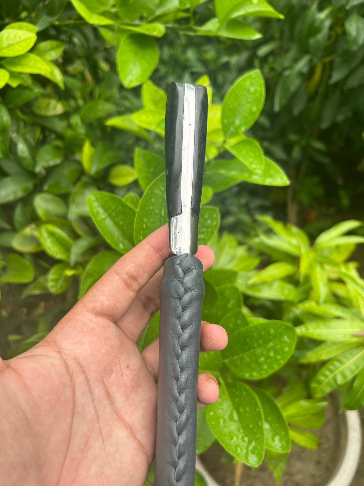 12" Peshkabz