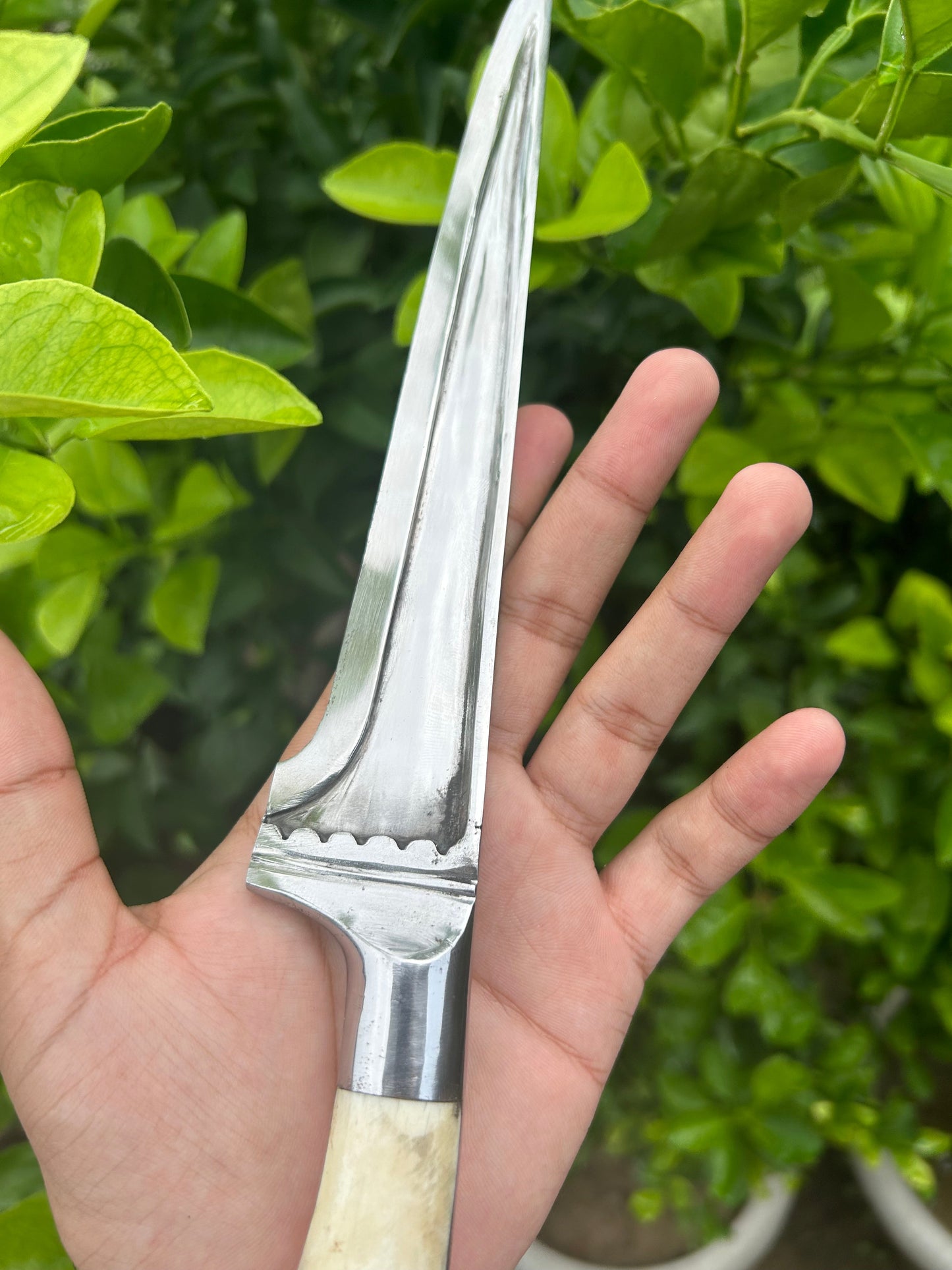 Straight Blade T-Spine Peshkabz - SRI ASDHUJ