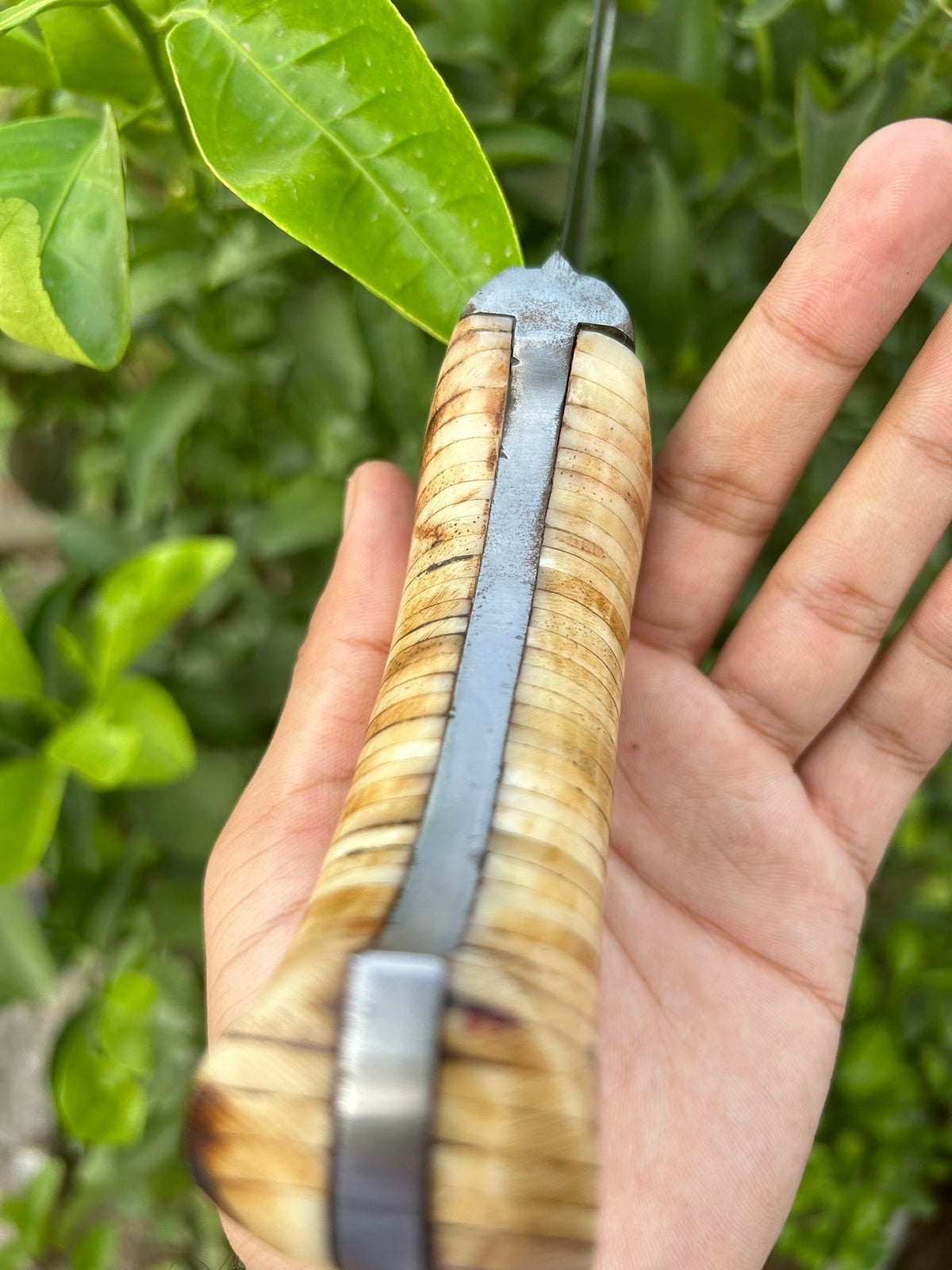 Double-Pronged Dagger made of Damascus
