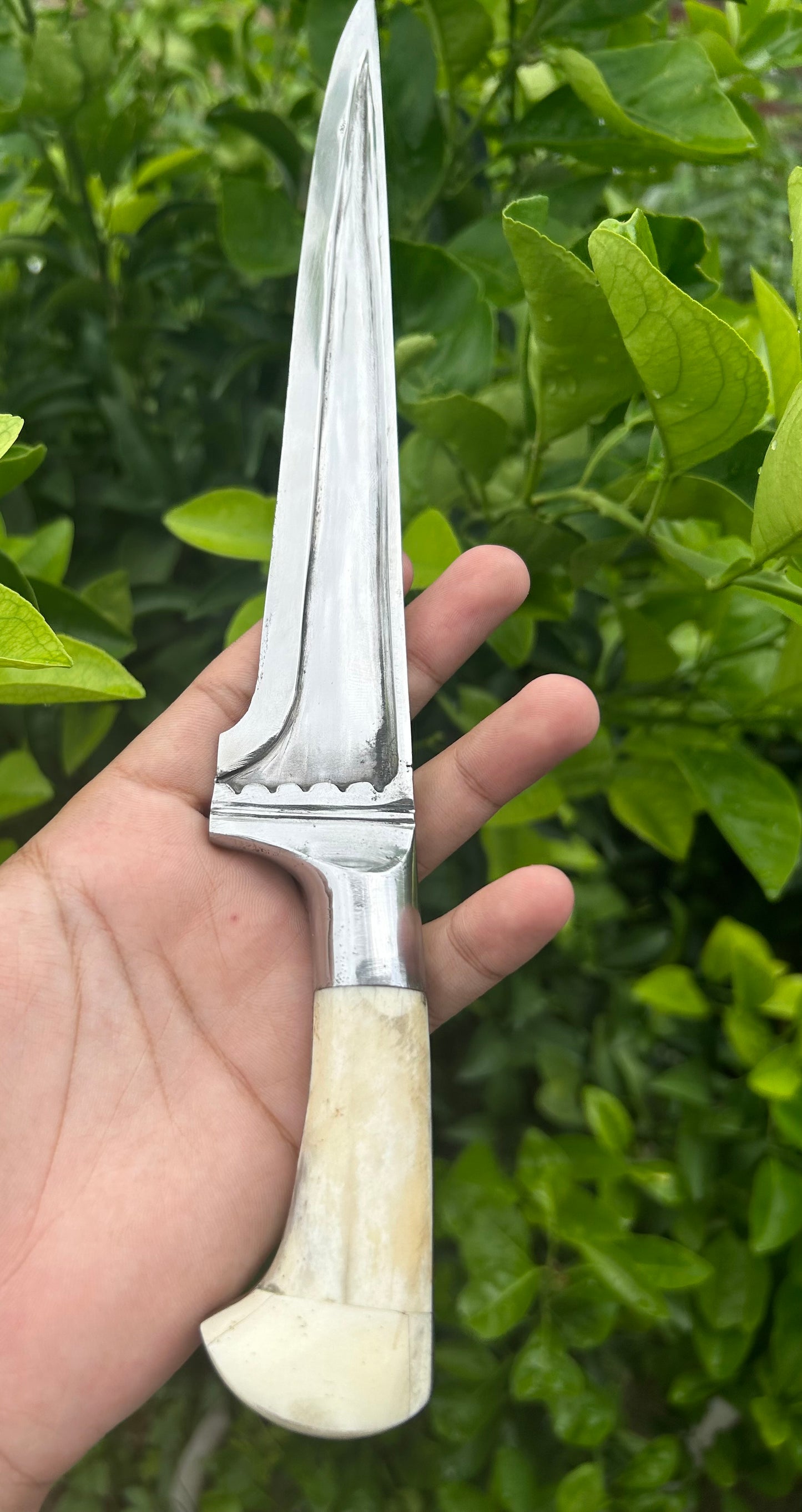 Straight Blade T-Spine Peshkabz