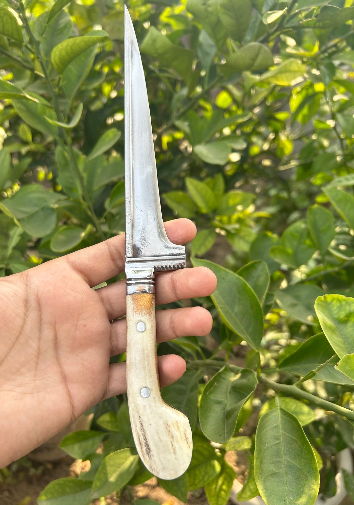 Spring Blade Peshkabz