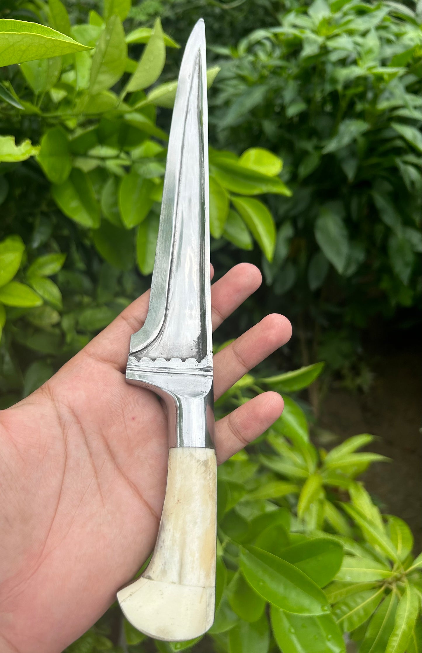 Straight Blade T-Spine Peshkabz