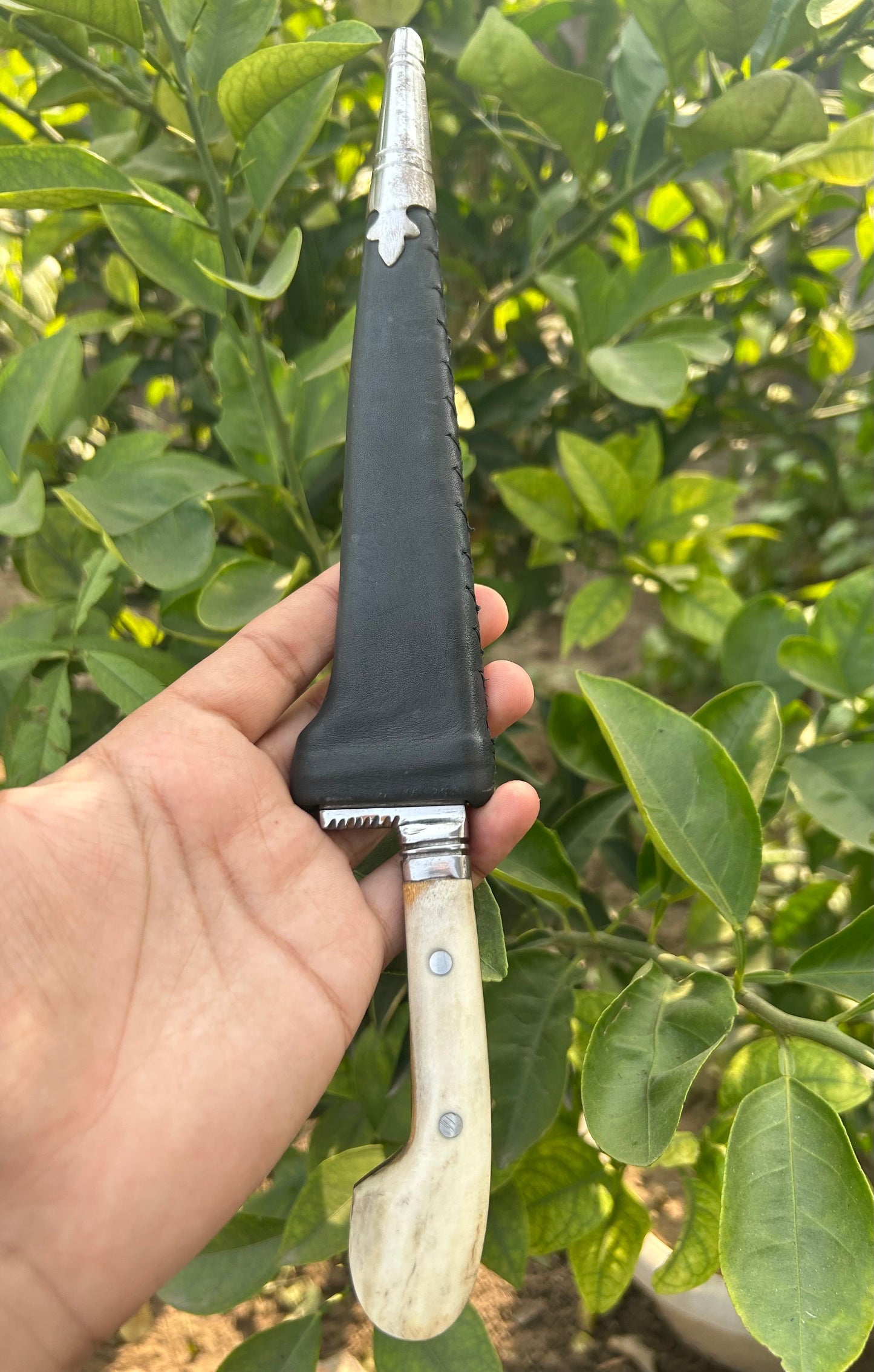 Spring Blade Peshkabz