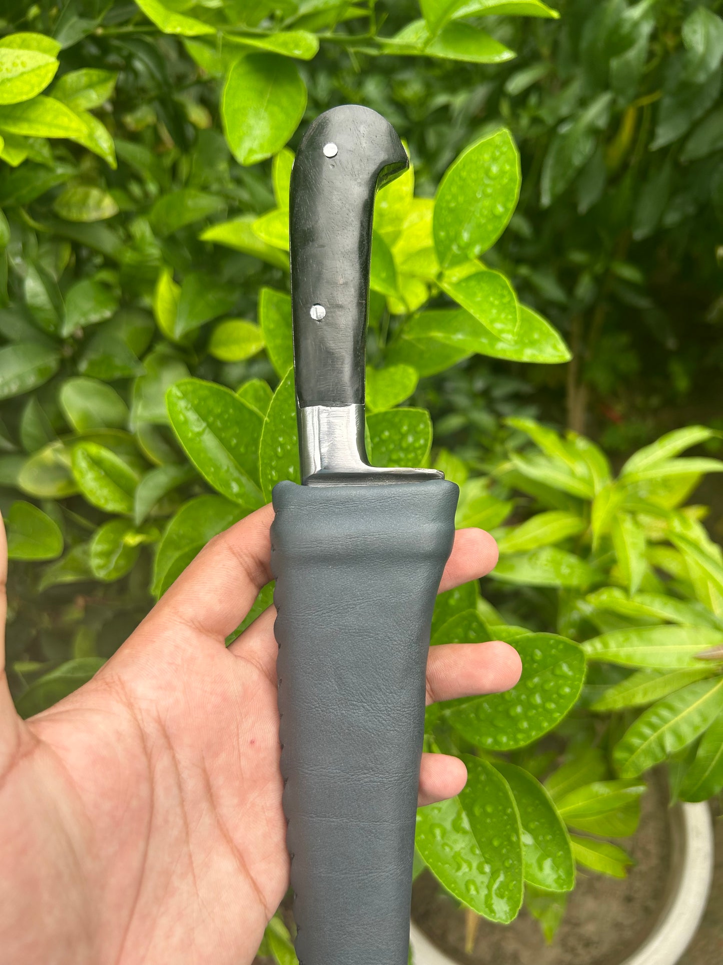 12" Peshkabz