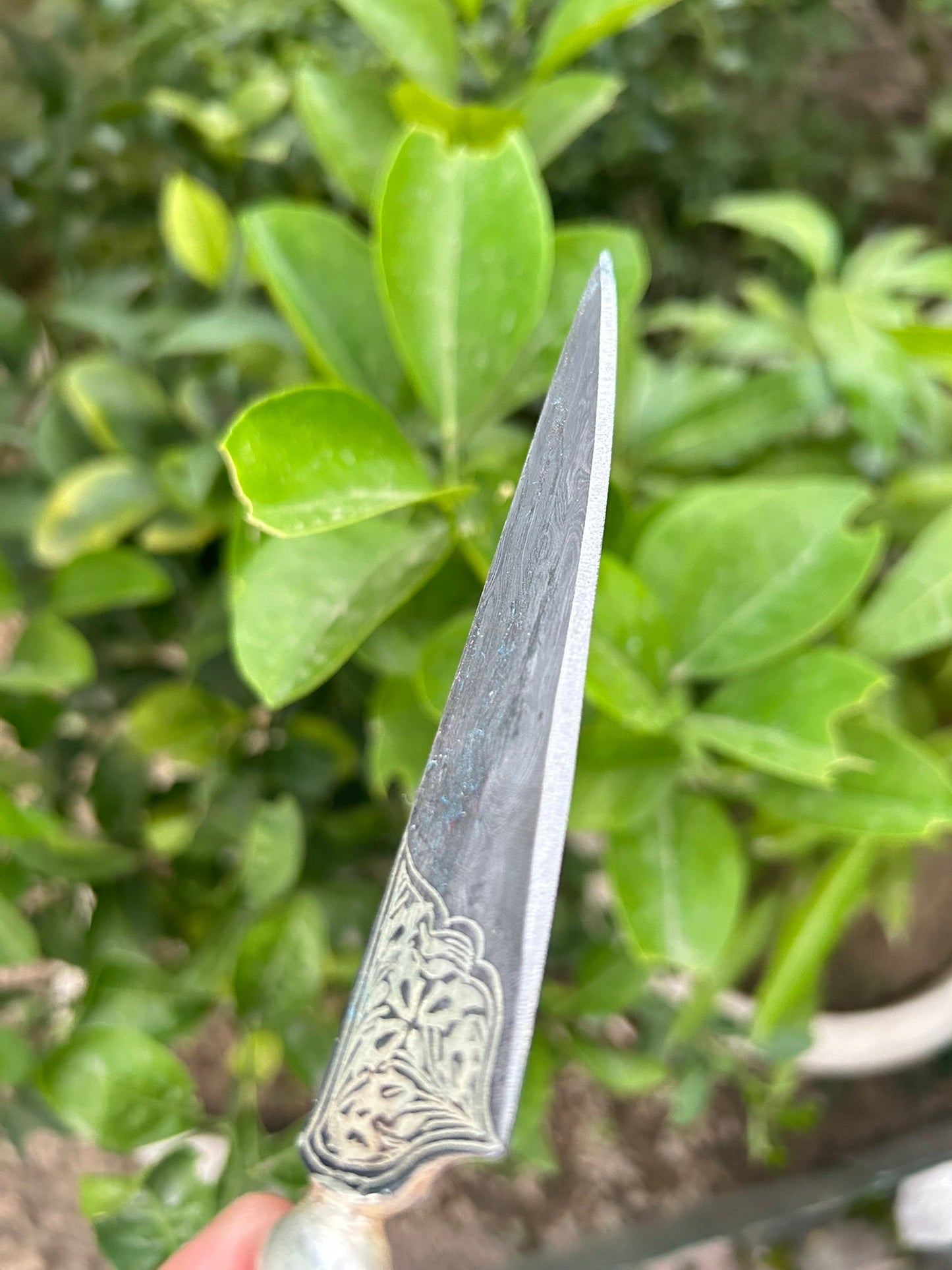 Small Silver Leaf work Kard