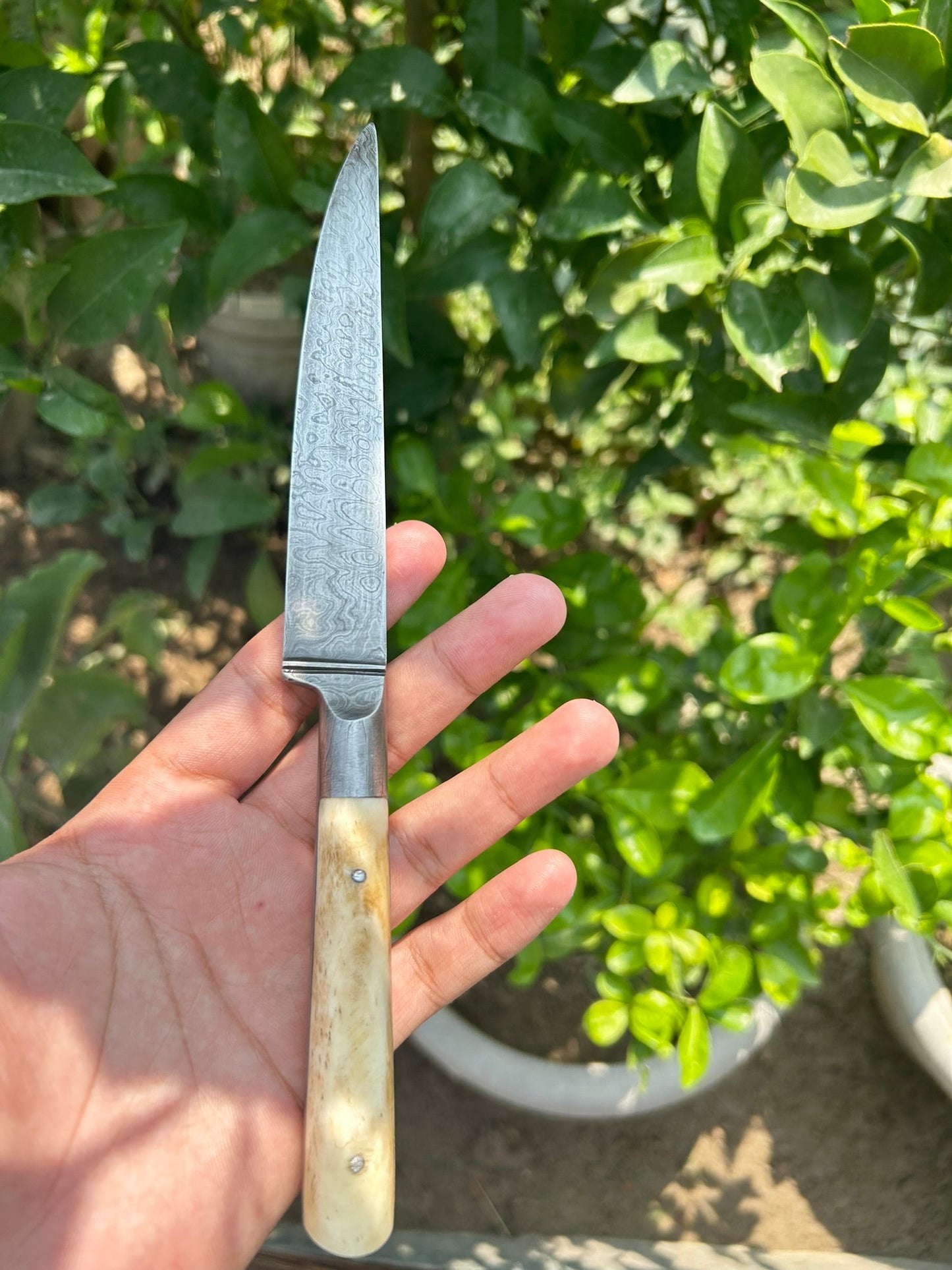 Small Damascus Kard