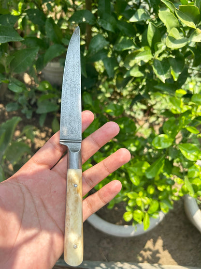 Small Damascus Kard