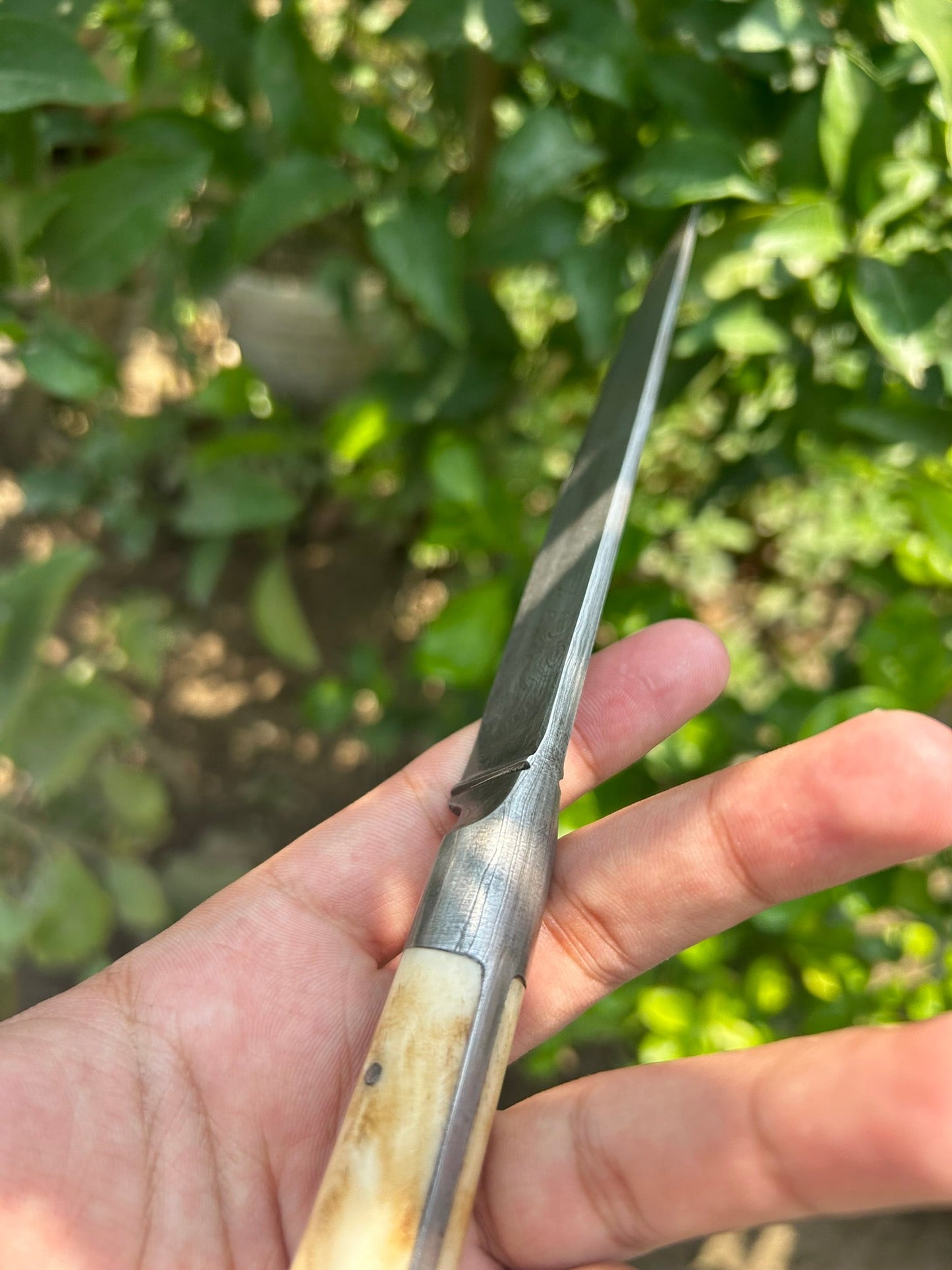 Small Damascus Kard