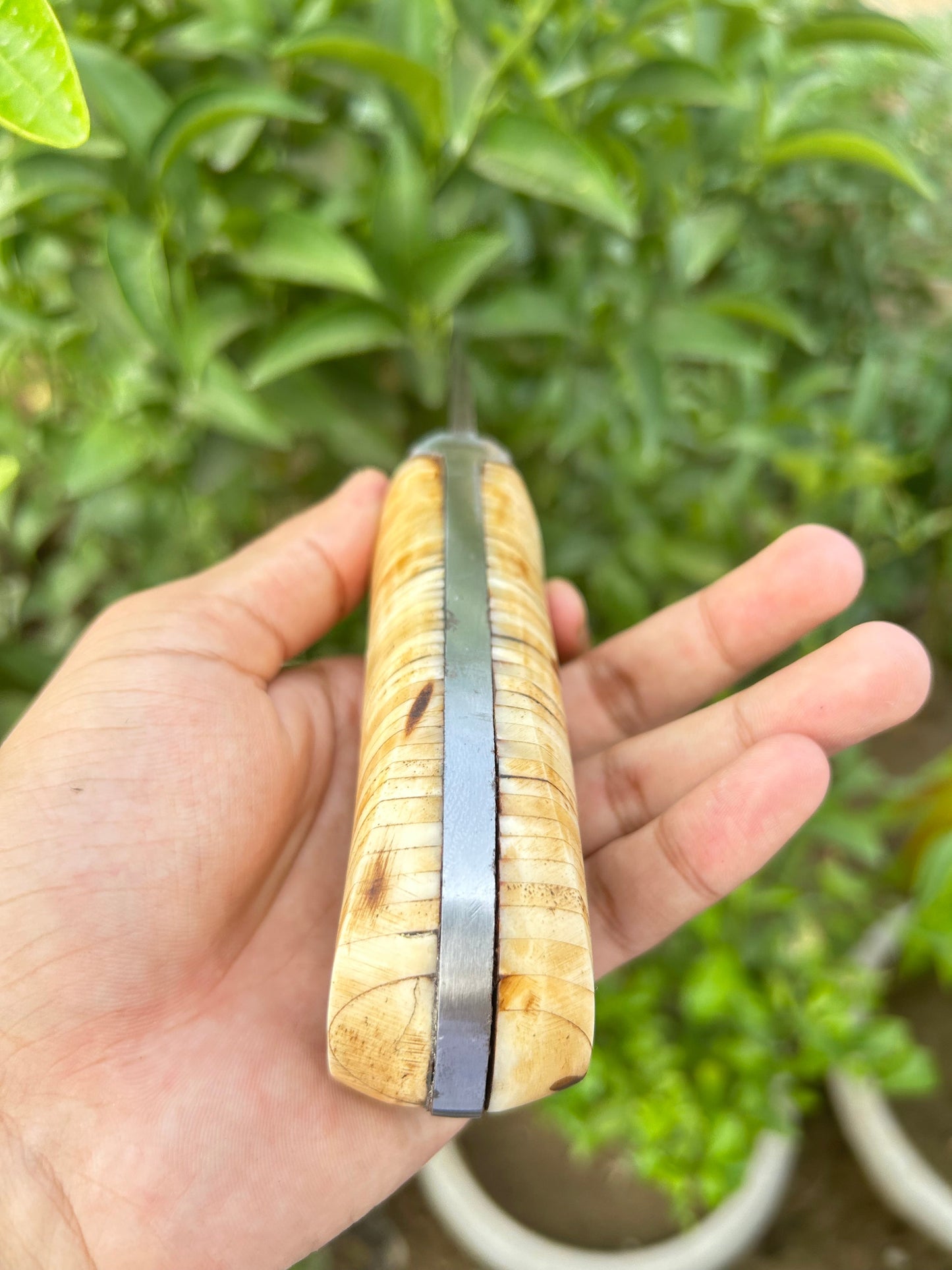 Two-Pronged Dagger