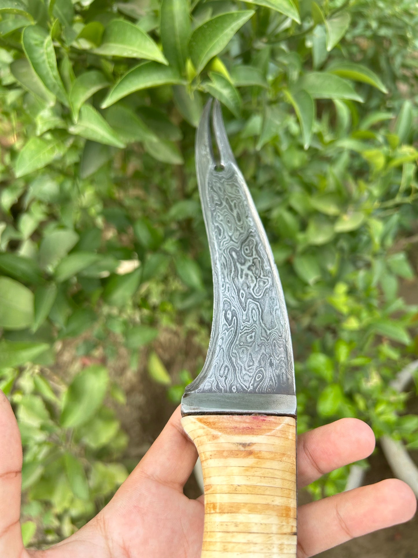 Two-Pronged Dagger